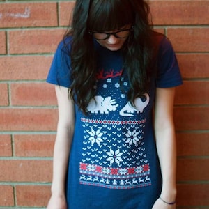 Women's Santa Dinosaur Christmas sweater shirt -- S M L XL