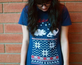 Women's Santa Dinosaur Christmas sweater shirt -- S M L XL