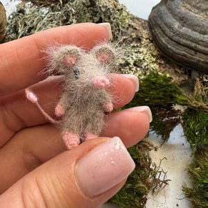 Può includere: Una minuscola statuina di topo grigio con orecchie, piedi e coda rosa. Il piccolo topo è tenuto in una mano, mostrando le sue piccole dimensioni. Il topo è fatto di materiale soffice, conferendogli un aspetto morbido. Lo sfondo include muschio e legno.