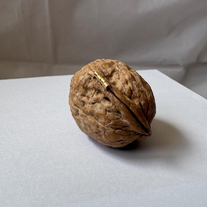 Open miniature walnut shell box with a small brass hinge, placed on a soft white fabric background. The natural wood texture and warm brown color of the walnut shell are clearly visible. A tiny handmade keepsake box perfect for storing rings or tiny treasures.