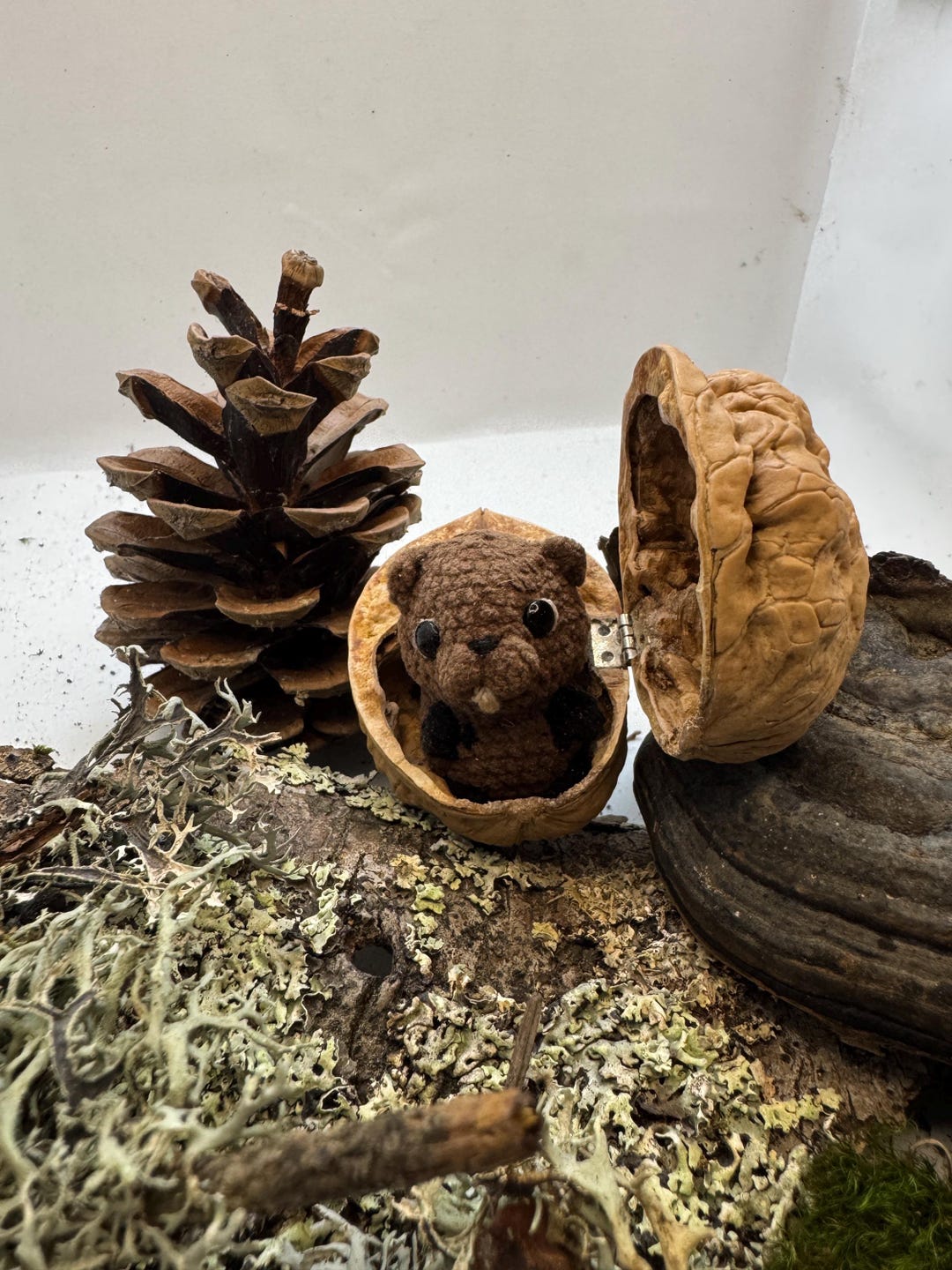 Mini Crochet Beaver in Walnut Shell, Tiny Beaver Gift, Woodland Animal ...
