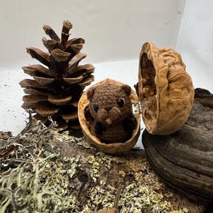 May include: A handcrafted miniature beaver doll made of brown yarn, nestled inside a walnut shell. The shell is open, revealing the tiny creature. A pine cone and mossy wood add to the natural, woodland theme.