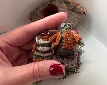 Two friends Crochet Frog and Toad Set