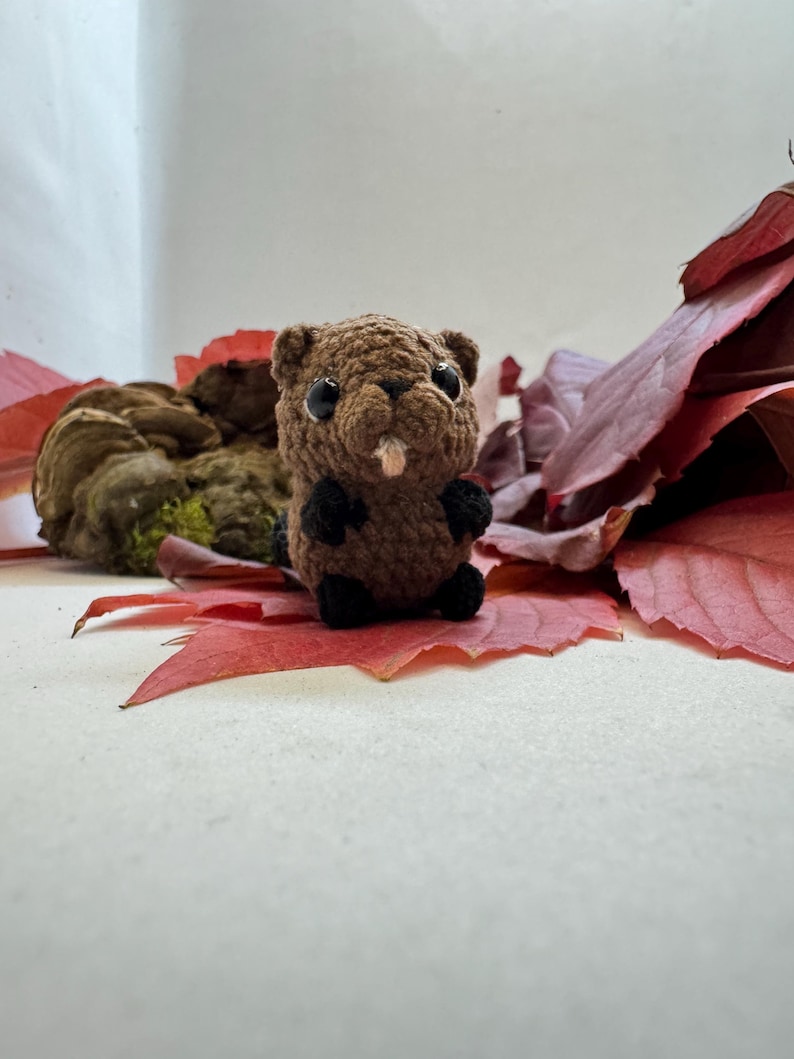 Mini Crochet Beaver in Walnut Shell, Tiny Beaver Gift, Woodland Animal ...