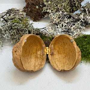 Miniature walnut shell box held in hand to show size. Ideal for tiny gifts, fairy decor, or wedding ring box with rustic woodland style.