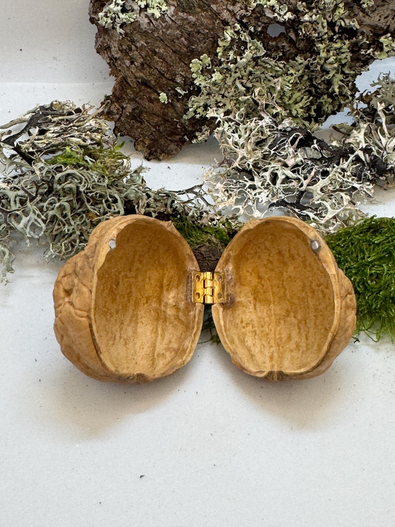 Miniature walnut shell box held in hand to show size. Ideal for tiny gifts, fairy decor, or wedding ring box with rustic woodland style.