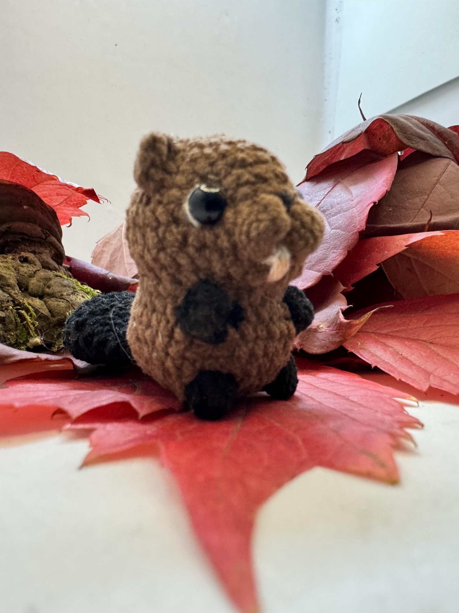 Mini Crochet Beaver in Walnut Shell, Tiny Beaver Gift, Woodland Animal ...