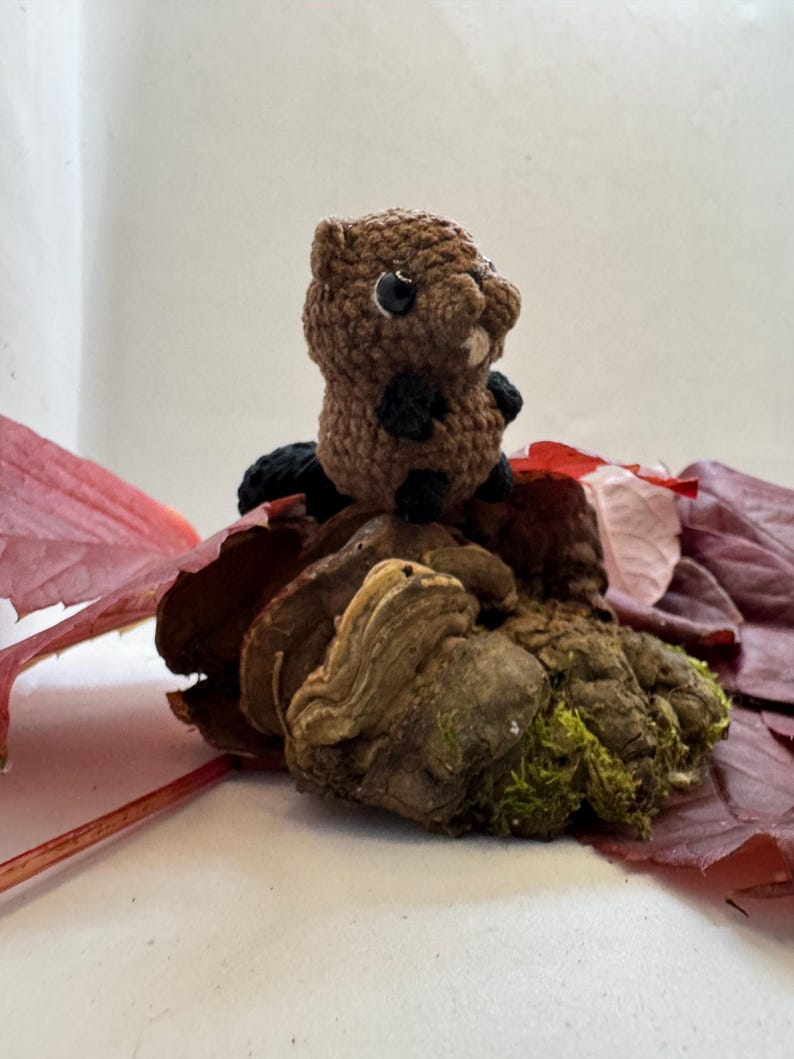 Mini Crochet Beaver in Walnut Shell, Tiny Beaver Gift, Woodland Animal ...