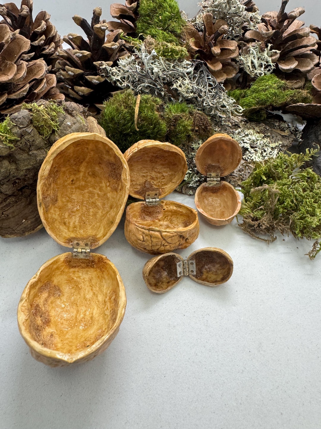 Set of 5 Walnut Shell Boxes, Handmade Natural Trinket Boxes - Etsy