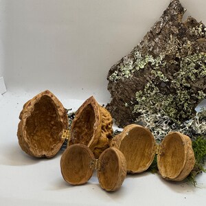 Open walnut shell box placed on moss with tiny fairy house decor elements. Handmade nature-inspired miniature chest for treasures or secret messages.