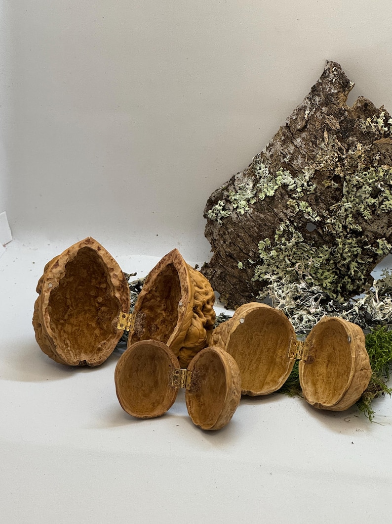 Open walnut shell box placed on moss with tiny fairy house decor elements. Handmade nature-inspired miniature chest for treasures or secret messages.