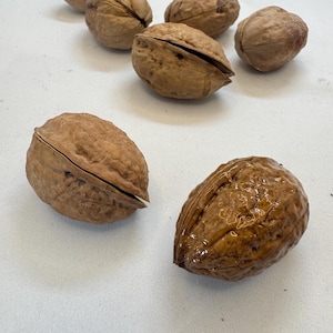 Op de afbeelding: Een verzameling bruine walnoten, sommige heel en andere opengebroken, ligt op een wit oppervlak. De walnoten hebben een getextureerde schil en een natuurlijk uiterlijk. De afbeelding toont de natuurlijke vormen en kleuren van de noten.