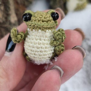 Adorabile bambola rana all'uncinetto - regalo perfetto per gli appassionati di rane e collezionisti di miniature