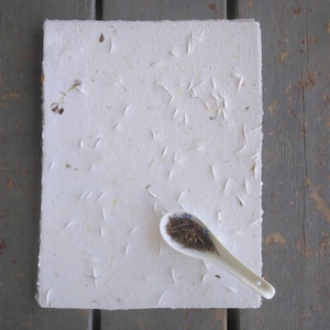 Bright Lights Cosmos Seed Paper, Cosmos seed paper, seed paper, bright lights cosmos, flower seed paper, recycled seed paper, handmade paper
