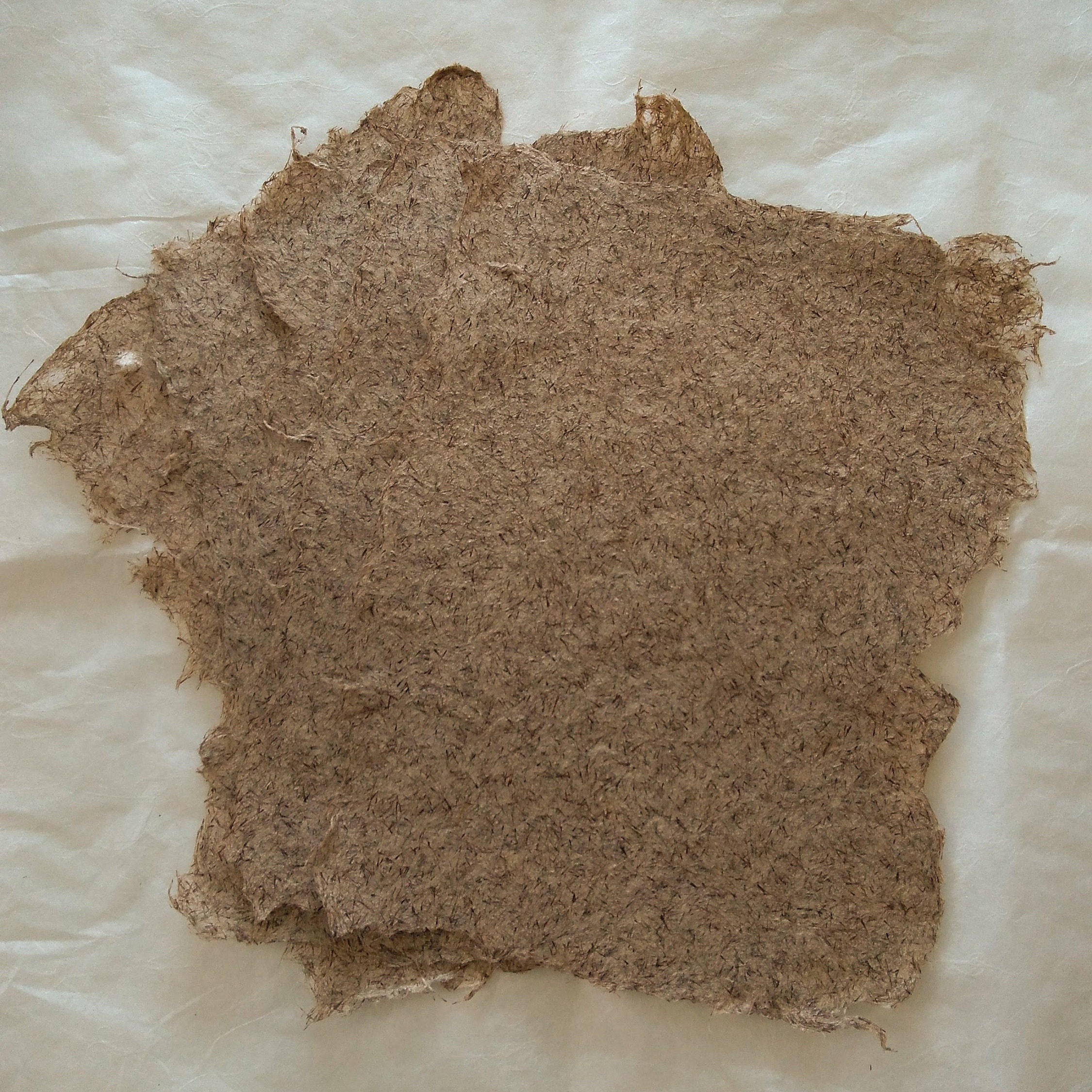 Cattail Fluff Fiber Paper, Handmade Paper, Plant Paper, Cattail Fluff ...
