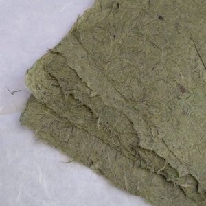 Lawn Grass Paper, handmade paper, grass paper, handmade paper, plant paper, grass, artist made paper, hand-made paper, hand made plant paper