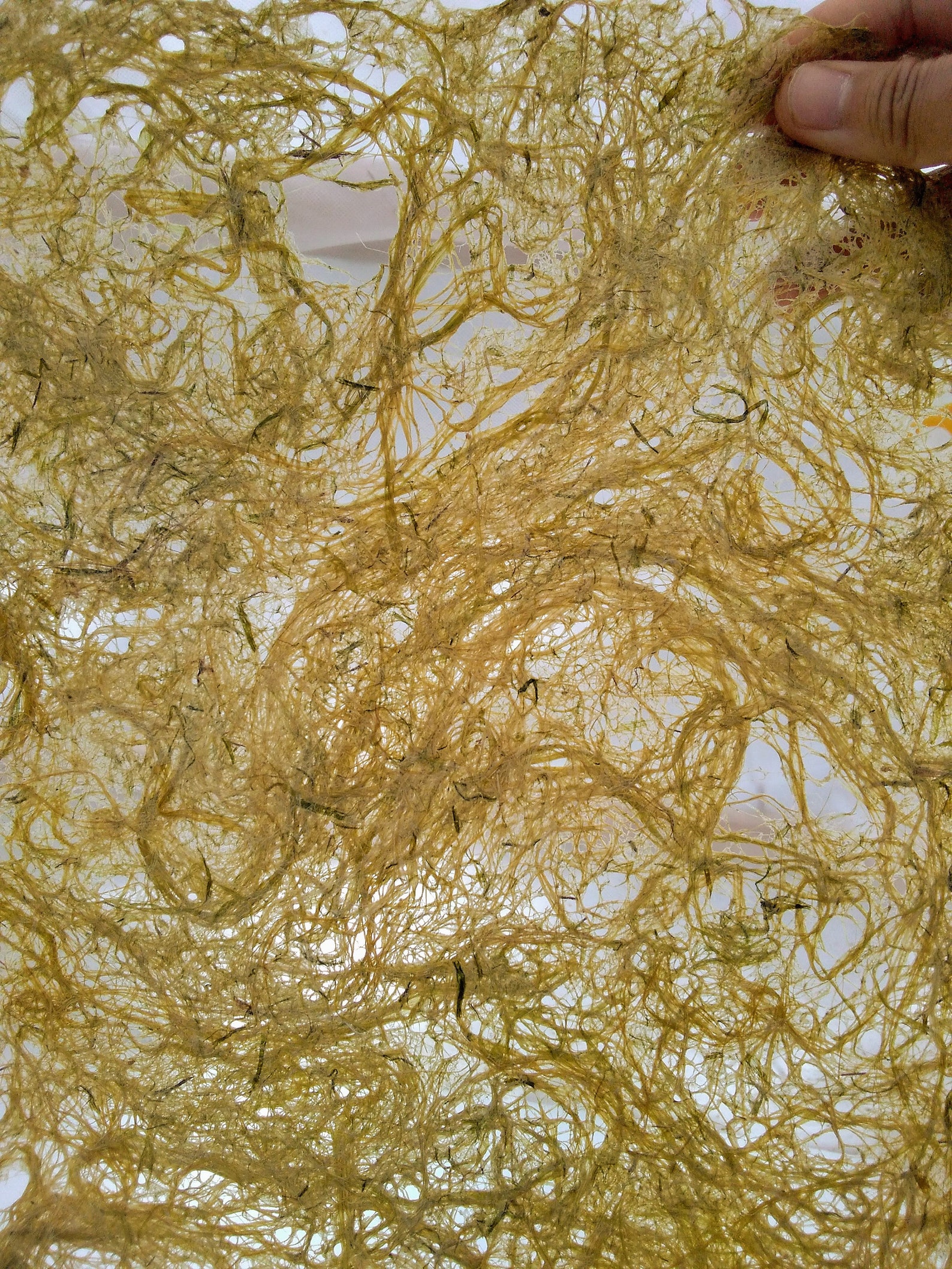 5 Sheets Corn Husk Fiber Paper handmade paper plant paper Etsy