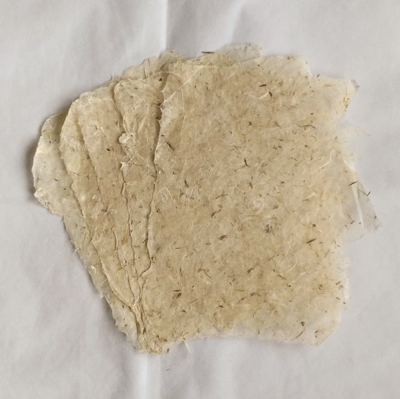 Fiber essay 06 image