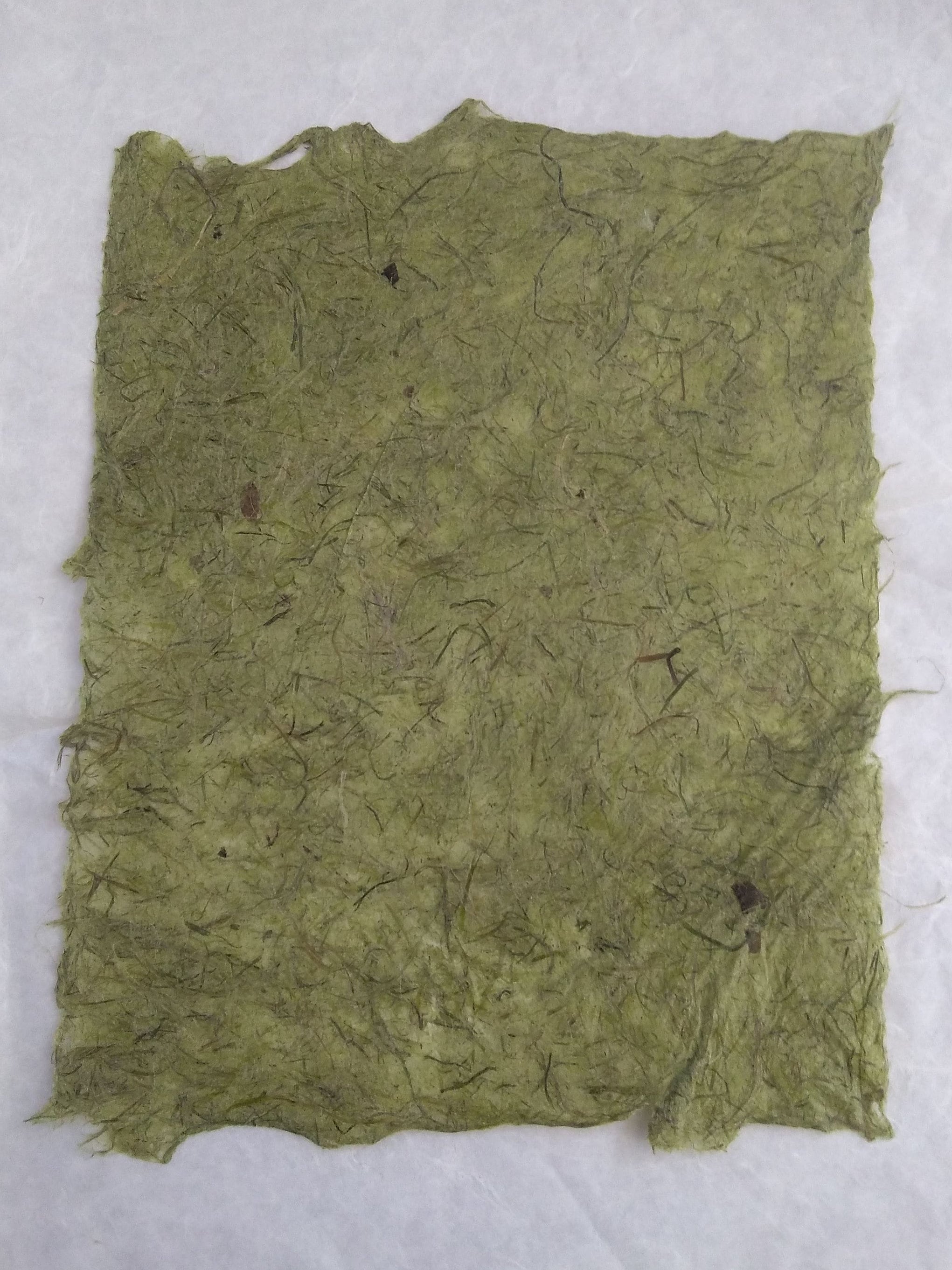 Lawn Grass Paper Handmade Paper Grass Paper Handmade Paper Etsy Australia