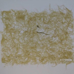 Corn Husk Paper, Handmade Paper, Plant Paper, Corn Husk Paper, Artist ...