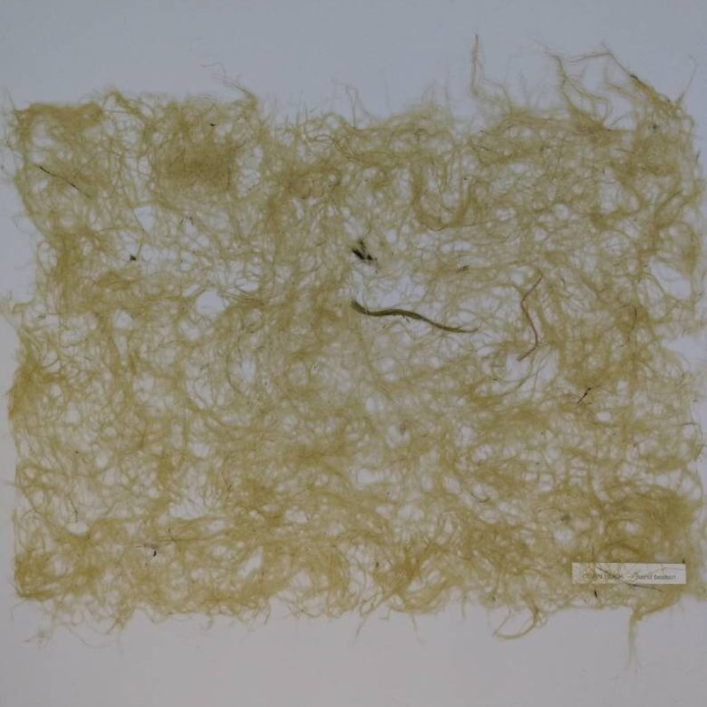 Corn Husk Paper, Handmade Paper, Plant Paper, Corn Husk Paper, Artist ...