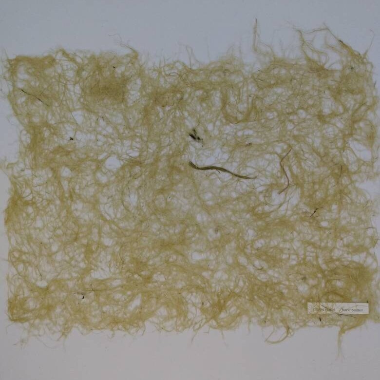 Corn Husk Paper, Handmade Paper, Plant Paper, Corn Husk Paper, Artist ...