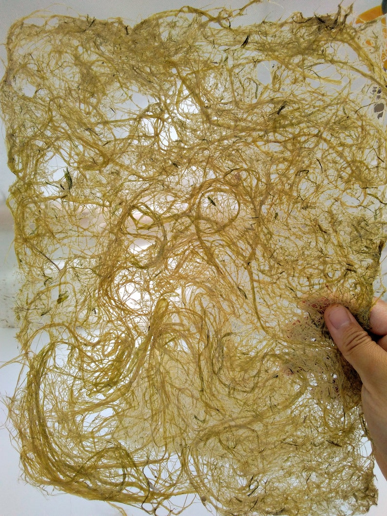 5 Sheets Corn Husk Fiber Paper handmade paper plant paper Etsy