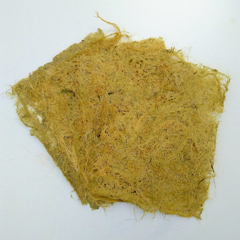 5 Sheets Corn Husk Fiber Paper handmade paper plant paper Etsy