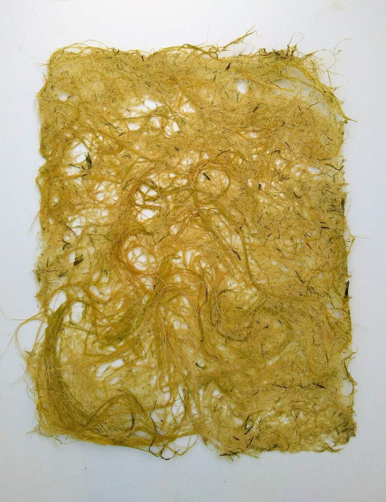 5 Sheets Corn Husk Fiber Paper handmade paper plant paper Etsy