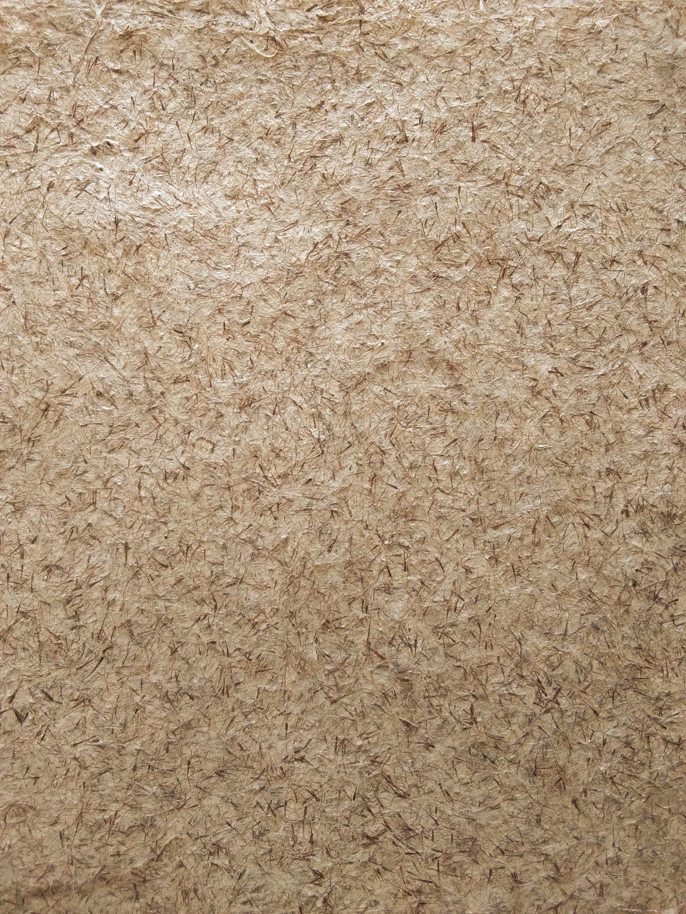 Cattail Fluff Fiber Paper, Handmade Paper, Plant Paper, Cattail Fluff ...