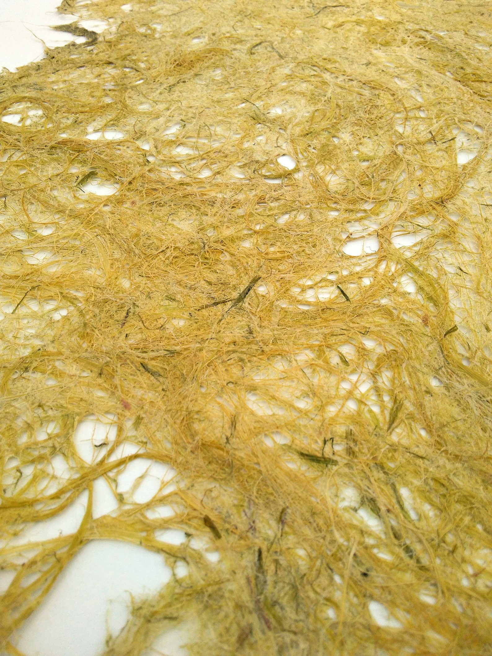 5 Sheets Corn Husk Fiber Paper handmade paper plant paper Etsy