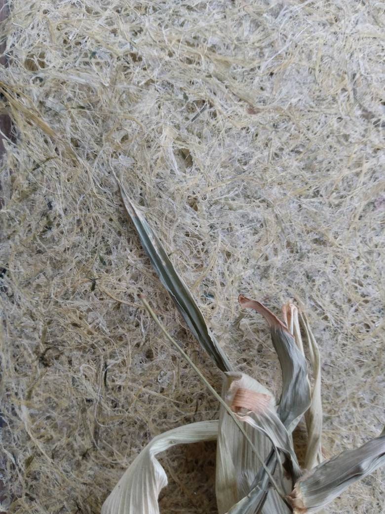 Corn Husk Paper, Handmade Paper, Plant Paper, Corn Husk Paper, Artist