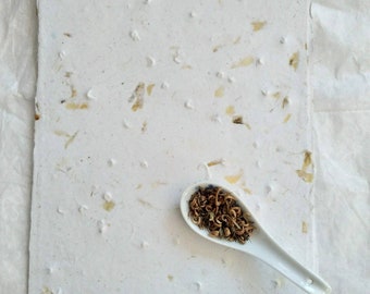 May include: A white sheet of handmade paper with brown flower petals scattered on it. A white ceramic spoon with brown flower petals is on the paper.