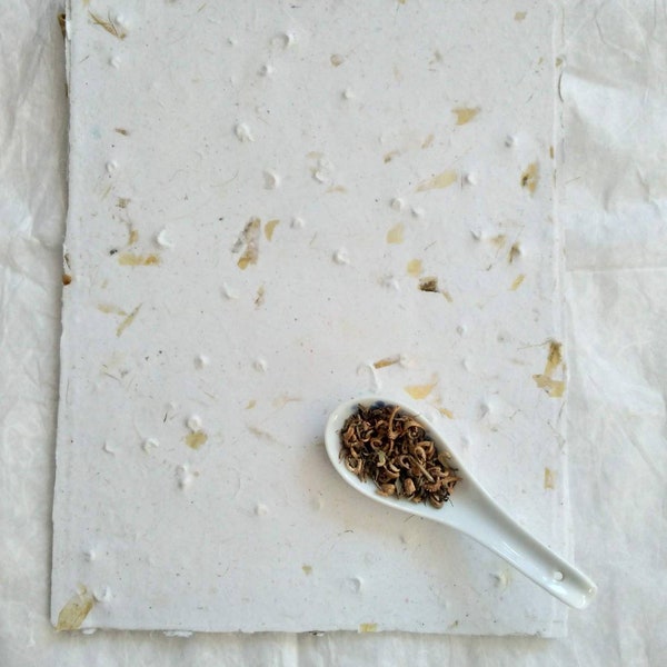 Calendula Triangle Flashback Seed Paper, Calendula seed paper, seed paper, calendula, flower seed paper, recycled seed paper, handmade paper