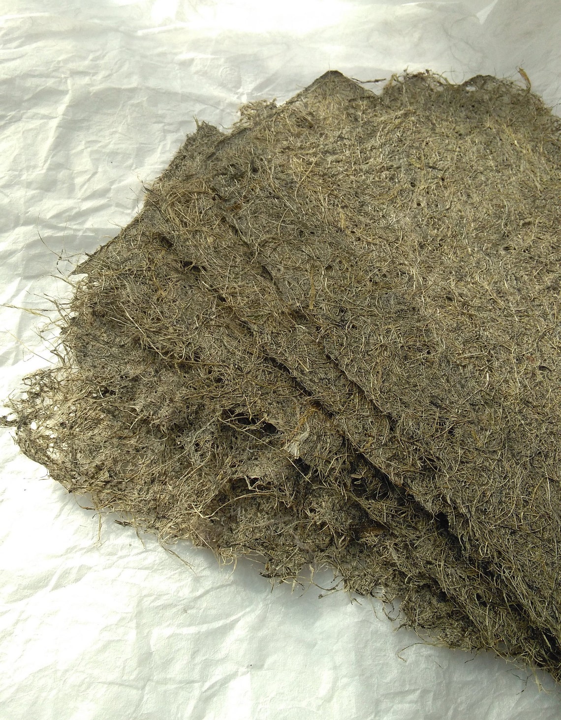 Corn Husk Smoking Papers at Claude Edwards blog