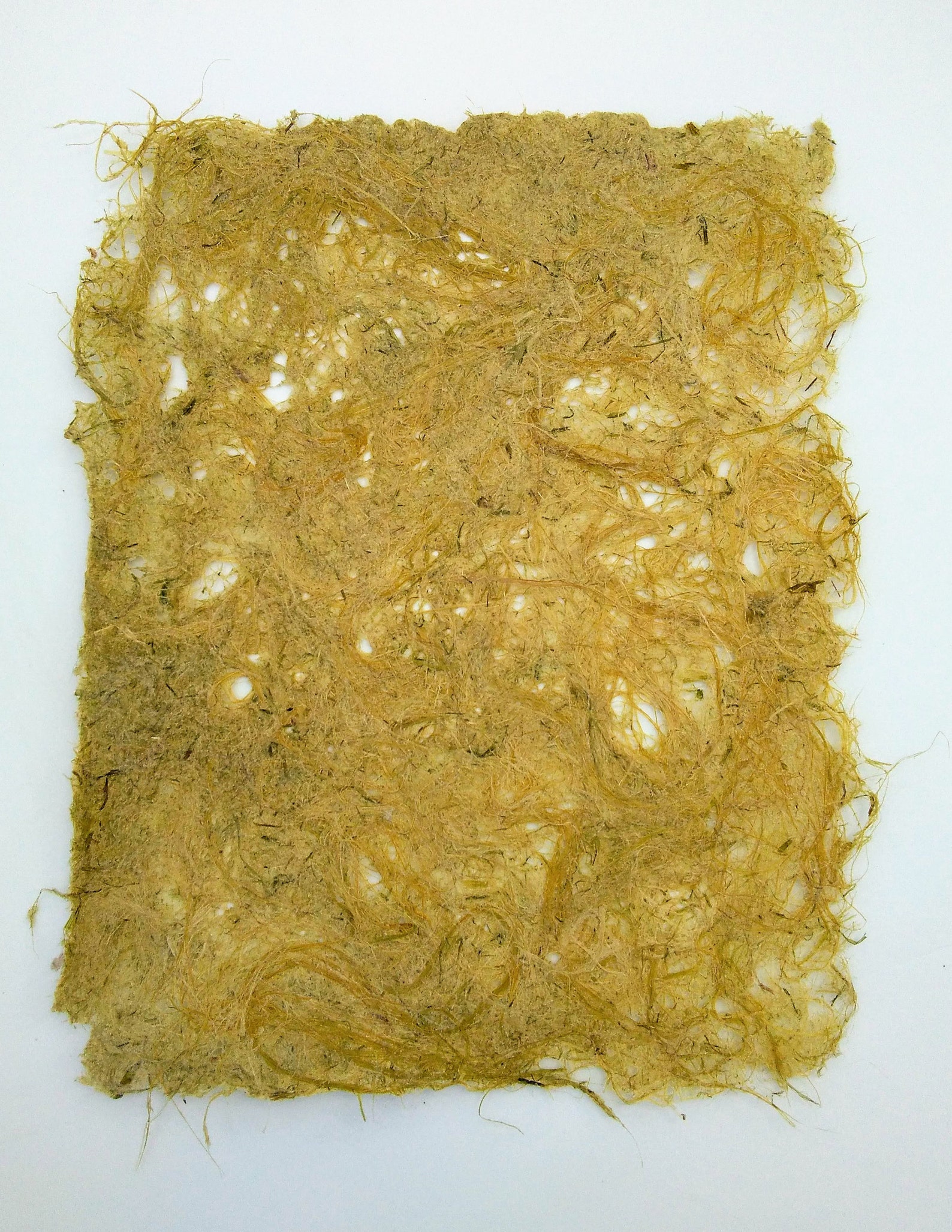 5 Sheets Corn Husk Fiber Paper handmade paper plant paper Etsy