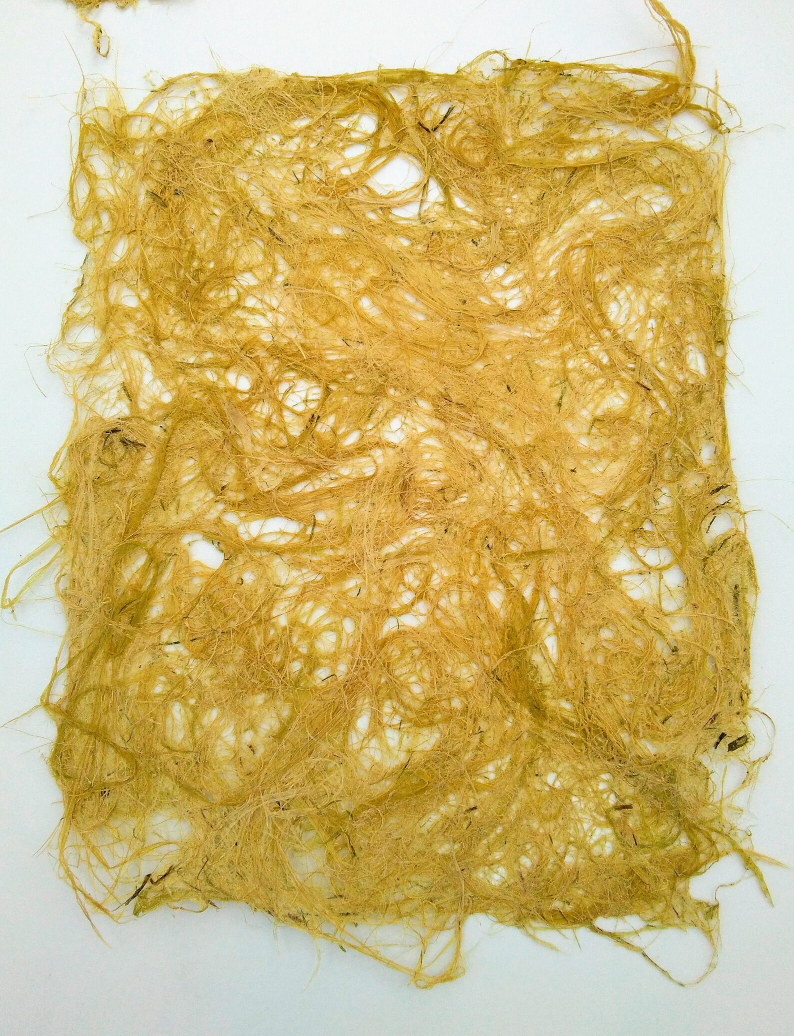 5 Sheets Corn Husk Fiber Paper handmade paper plant paper Etsy