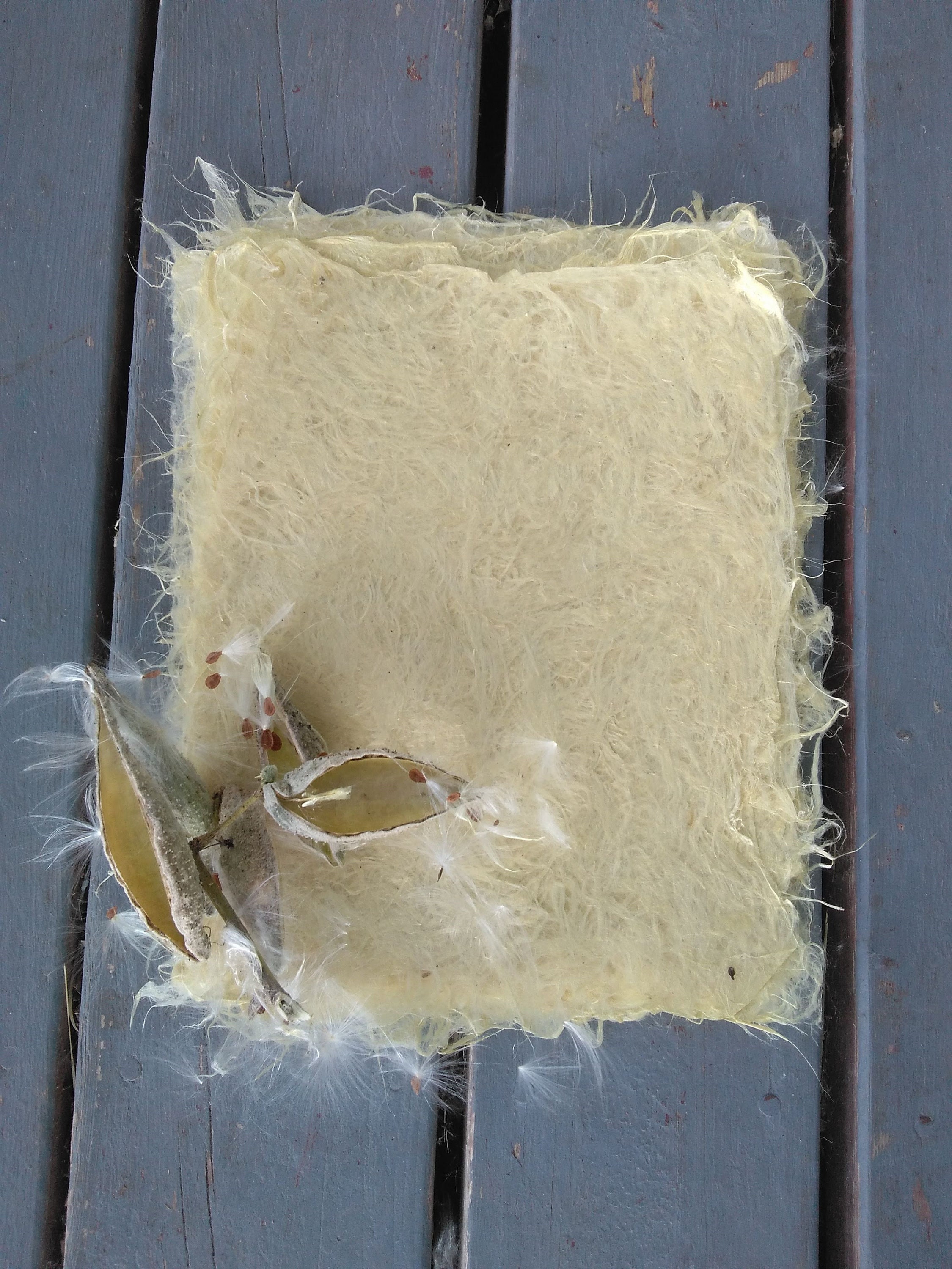 Milkweed Fluff Paper, Handmade Paper, Plant Paper, Milkweed Fluff Paper ...