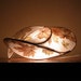 Joanne Rich