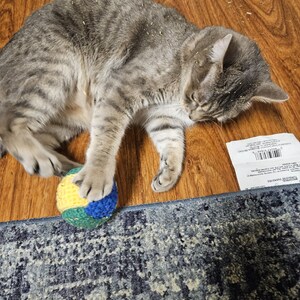 Cat toy
