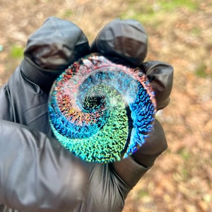 Puede incluir: Un pisapapeles de vidrio con un diseño multi-color en espiral. El diseño presenta tonos de azul, verde, naranja y rojo.