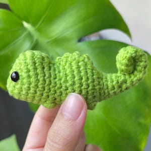 Könnte beinhalten: Ein kleines grünes gehäkeltes Seepferdchen mit schwarzen Augen. Das Seepferdchen ist spiralförmig zusammengerollt.
