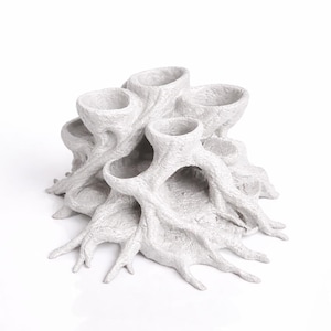 Rootcave Planter – Natural Root Aquarium Decor with Planting Cups | Fish and Shrimp Hideout, Aquascape & Paludarium Ornament white