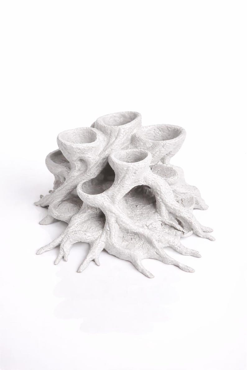 Rootcave Planter – Natural Root Aquarium Decor with Planting Cups | Fish and Shrimp Hideout, Aquascape & Paludarium Ornament white
