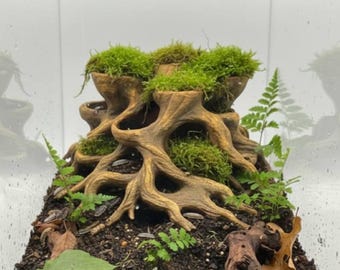 Maceta Rootcave: Decoración natural para acuario con raíces y maceteros | Escondite para peces y camarones, paisaje acuático y adorno para paludario