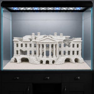 May include: A white, textured aquarium ornament shaped like a ruined neoclassical mansion with columns, arched doorways, and crumbling walls. The structure is positioned inside a glass aquarium tank with a black frame and integrated LED lighting.
