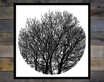 No Visitors - Tree Silhouette 12.5x12.5in Screen Print