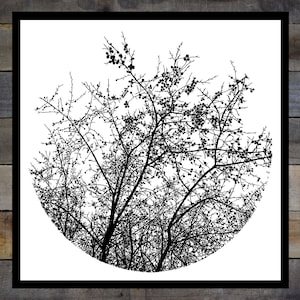 Time Forgot - Tree Silhouette 12.5x12.5in Screen Print