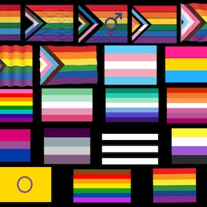 LGBTQ+ Pride Flags PNG Bundle, 20 Digital Designs, Rainbow Clipart, Sublimation Download, Trans , Lesbian, Gay, Queer PNG, Digital Pride