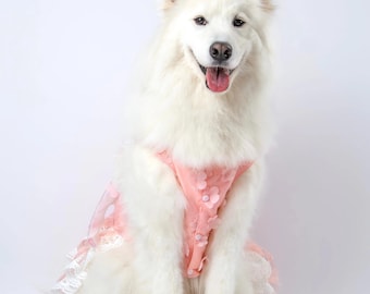 May include: A fluffy white dog wearing a sleeveless peach-colored dress. The dress features small fabric flower appliqués on the bodice and a layered white lace trim along the hemline. The dog has pointed ears, dark eyes, and a pink tongue visible.